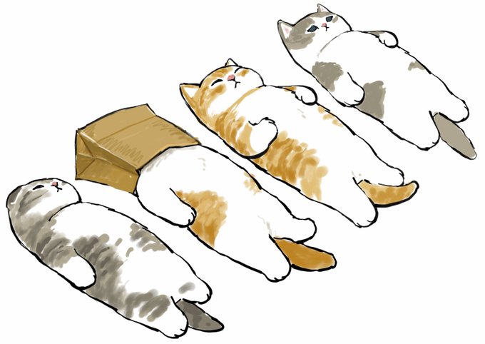 「三毛猫」のTwitter画像/イラスト(新着｜RT&Fav:50)｜10ページ目