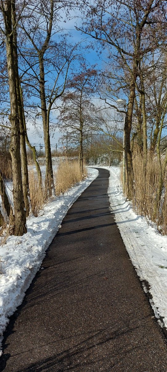 klavertje58's tweet photo. Verschil fietspaden #gemeenteGouda foto 1 en 
#gemeenteZoetermeer foto 2 https://t.co/J9LOnvG3Wr