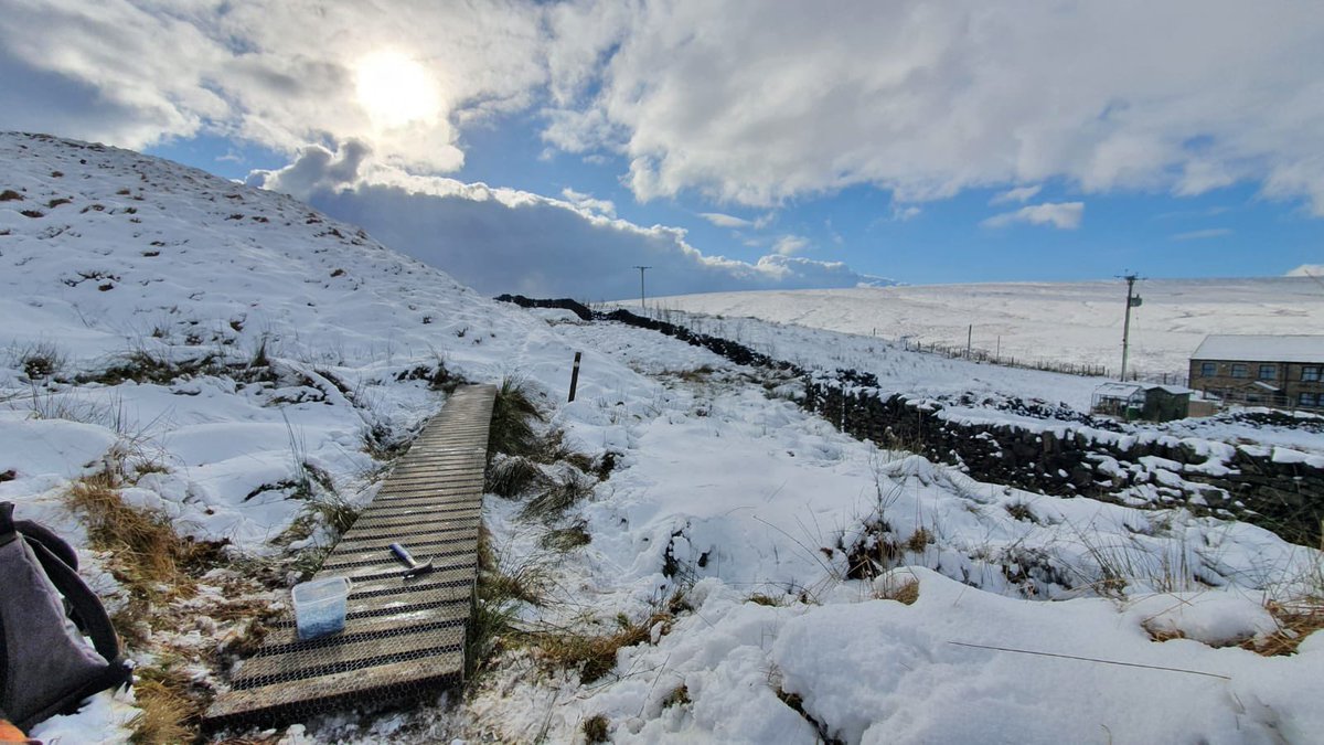 Job done 👏 De-iced and newly wire-netted boardwalks for all you hardy walkers. #rangerjobs #nationaltrustrangers