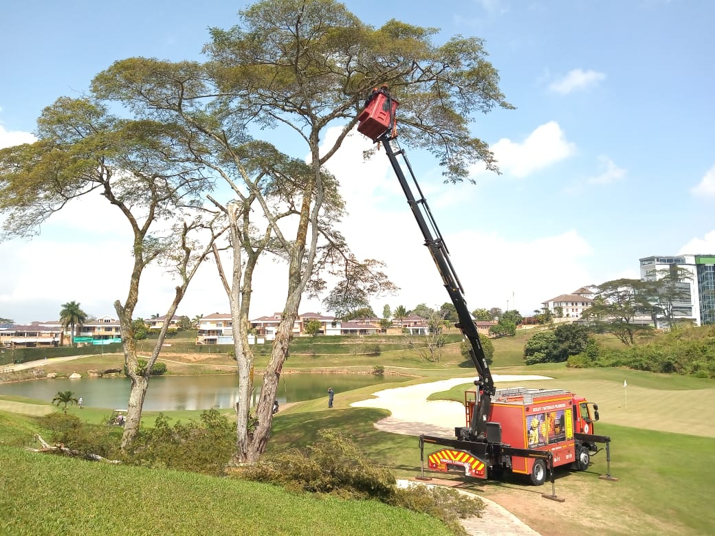 floridabomberos's tweet photo. 🚧#BomberosTrabajando🚧 desde el condominio Golf Country Club donde fueron reportados 3 árboles de especie Jalapa que se intervienen con una poda preventiva para mitigar el riesgo que generaba a los residentes de la zona. #laborcumplida💪 https://t.co/NR9rmcPPQn