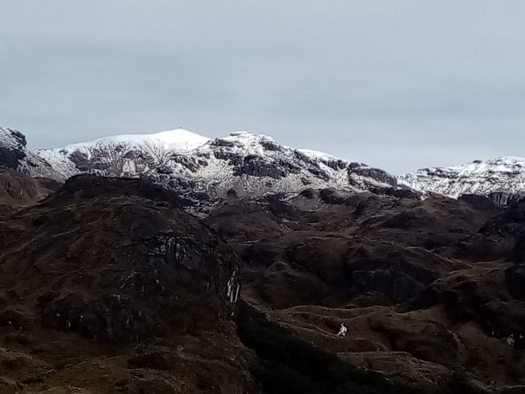 teleramaecuador's tweet photo. Así amaneció hoy el Parque Nacional #ElCajas en #Cuenca, en el sector de Quitahuayco, predio de @ETAPAOficial
La zona se registra con nevada y una temperatura aproximada de -5 grados.
#CuencaAlDia https://t.co/huWKnPHRUa