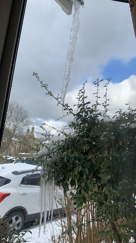 grumpyoldbirder's tweet image. Lockdown Diary – My icicle has icicles! - grumpyoldbirder.com/my-icicle-has-… [&apos;Subscribing&apos; to Grumpy Old Birder posts is very easy... complete the form on the right of the blog post and click the confirm link which is sent so you won’t miss a post.]