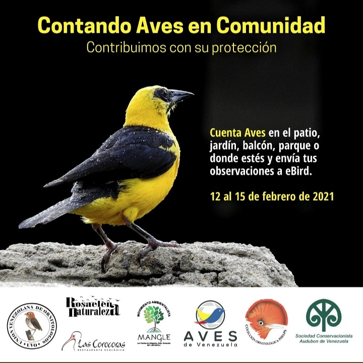 amblemave's tweet photo. Las aves están en todas partes, todo el tiempo haciendo cosas fascinantes.

¿Sabías que Venezuela está en el 7mo lugar en el mundo con la mayor variedad de especies de aves?

Unas 1.417 https://t.co/r9U27M0JVc