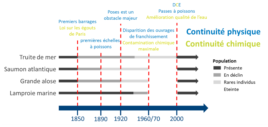 vdseine's tweet photo. L'analyse historique des aménagements de la #Seine et de ses composantes chimiques met en lumière les grandes périodes de modification de la continuité écologique du fleuve
Le projet #CONSACRE est soutenu par le #CPIER #ValleeSeine
https://t.co/EAIba2DoGU https://t.co/UOrPt62Ci2