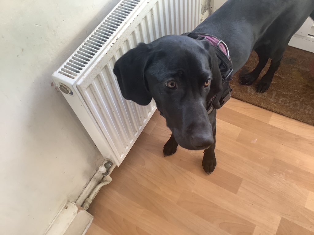 Manor Art & Design tweet media