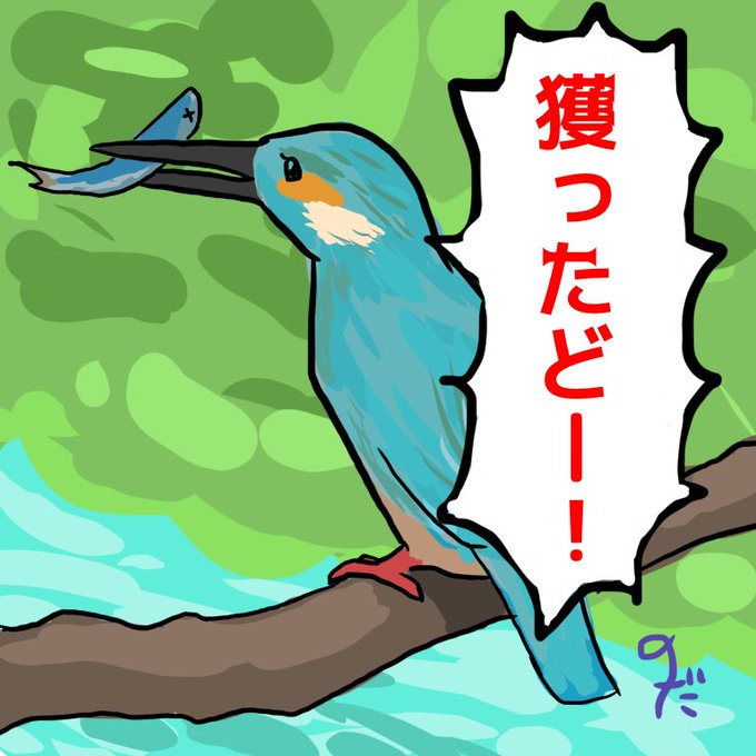 絵を描くための鳥の写真集のtwitterイラスト検索結果 絵を描くための鳥の写真集のtwitterイラスト検索結果