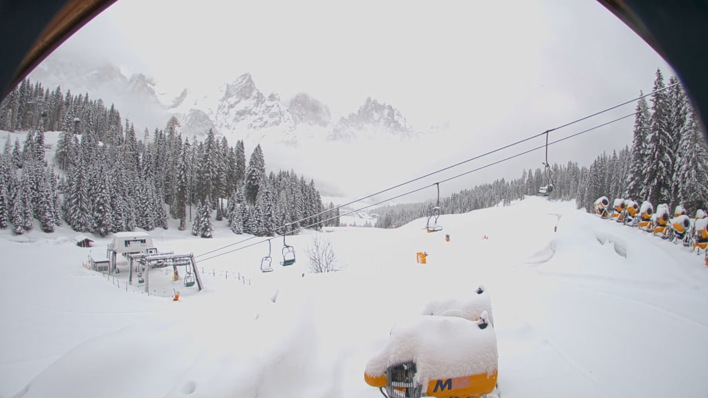 wePowder tweet media