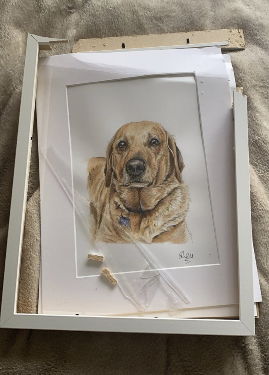 Sophie Podd tweet media