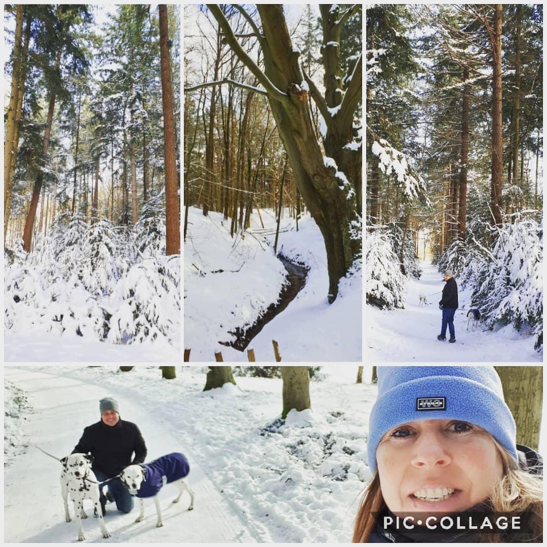 Kykado's tweet photo. Dag 4 van de sneeuwpret en ohhh wat is het toch prachtig buiten !! Het lijkt wel of we in Oostenrijk zijn / Day 4 of fun in the snow and ohhh it is beautiful outside !! It looks like we are in Austria 🥰❄⛷🛷 https://t.co/sXNAxLLC0c