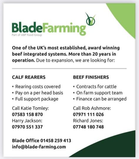 RobertAblade1's tweet photo. Plenty of opportunity to diverse, expand or funture proof your business. Get in touch.... https://t.co/uTZyLHPM1C