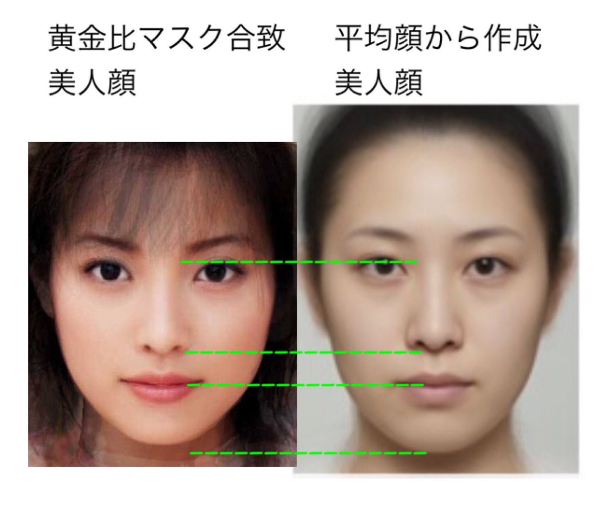 日本 人 顔 の 大き さ 平均 典型的韓国人顔 日本人顔 中国人顔って比較して意味あるの 院長ブログ 五本木クリニック Amp Petmd Com