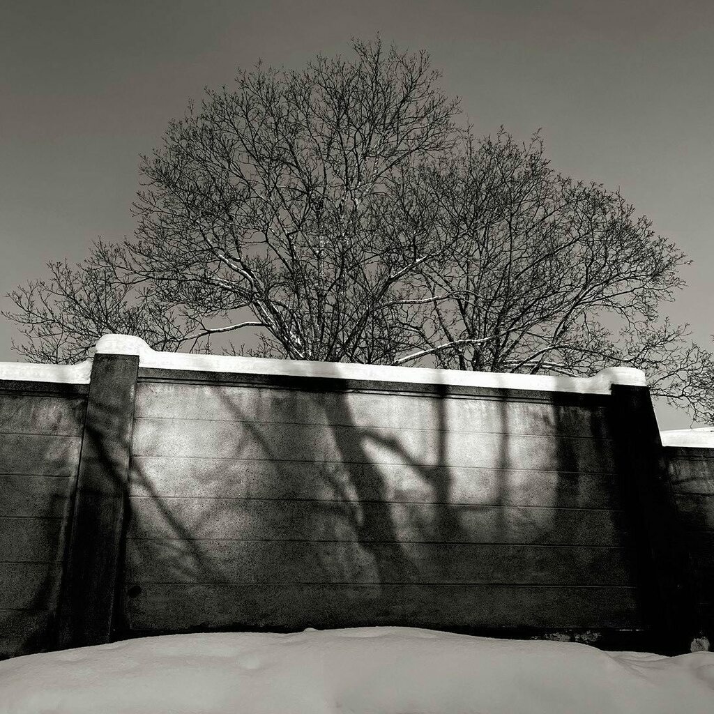 But cold #light #snow #winter #tree #wall #helsinki #finland https://t.co/pSBETJGUjt #instagram https://t.co/vflpNd8jVF