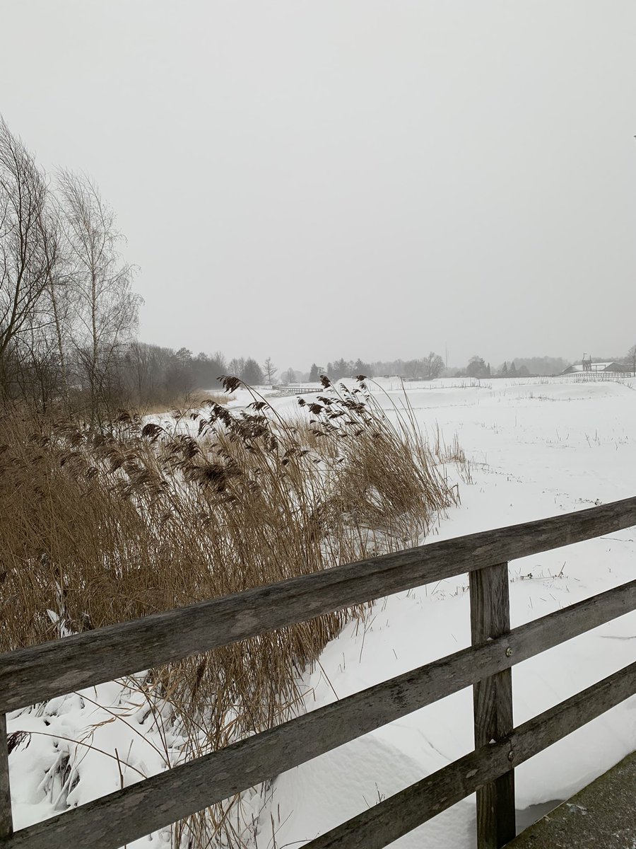 𝔹𝕚𝕒𝕟𝕔𝕒 tweet media