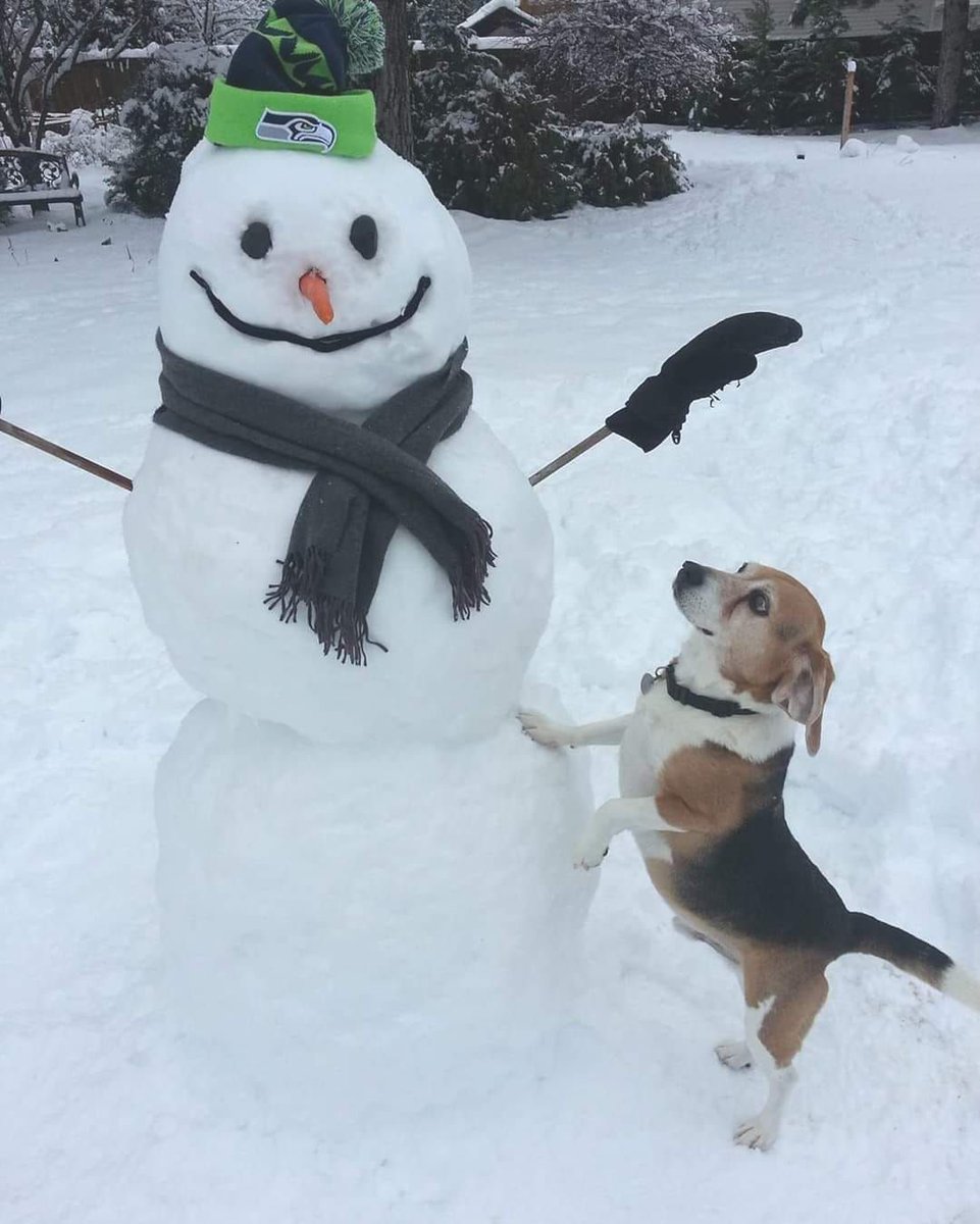 Dog Bless You tweet media