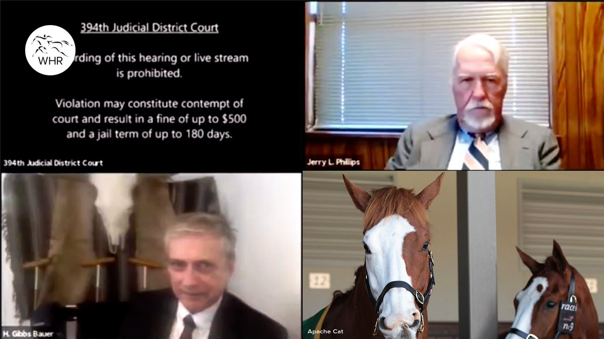 THREAD: Horses that are NOT cats Apache Cat & Looks Like The Cat  #IAmNotACat