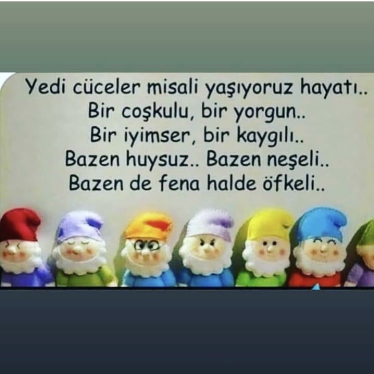 Ne hale geldik