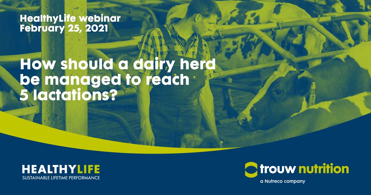 On 25th of February 2021 I will reveal the secrets on how to get 5 lactations in the HealthyLive webinar by Trouw Nutrition.

Subscribe now: ow.ly/gKne50DwnnU