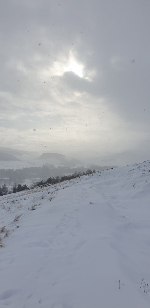 Amanda Bell tweet media