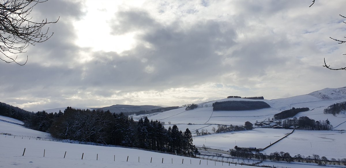 Amanda Bell tweet media