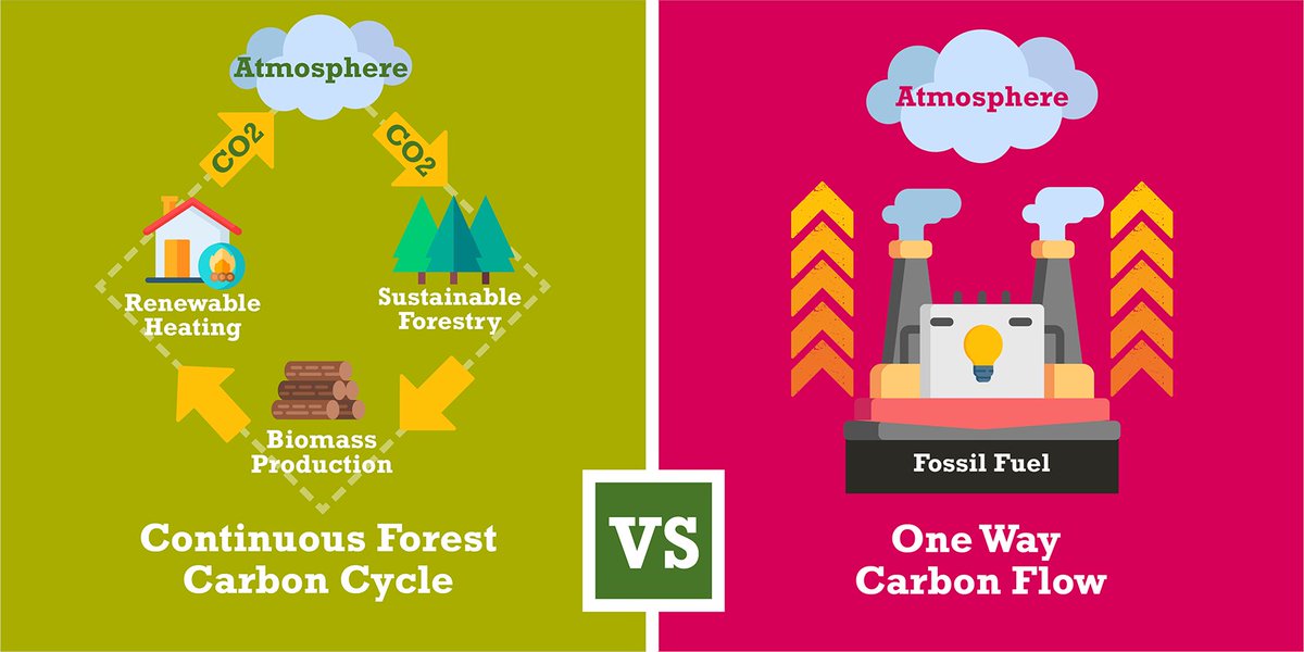 biomassworks's tweet image. When well managed, #biomass (a waste/residue product) plays a proactive role in sustainable #forestry management. Therefore, it&apos;s vital that the UK’s #biomassheat industry is fully understood as part of a low carbon circular economy. Here&apos;s few key points&amp;gt; biomassheatworks.co.uk/blog