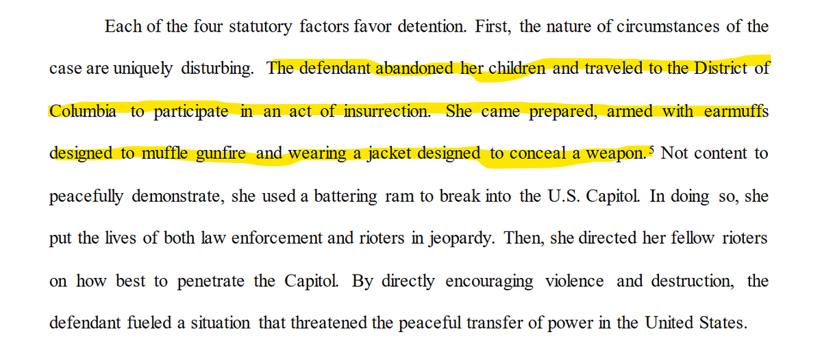 Prosecutors aren't messing around in their appeal of bail conditions for Rachel Powell, the Bullhorn Lady."The defendant abandoned her children & traveled to DC  to participate in an act of insurrection. She came prepared, armed with earmuffs designed to muffle gunfire..."