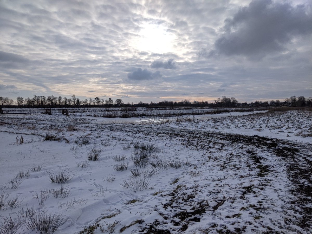 Interview, fotoshoot en bijpraatwandeling in polder Demmerik die  <a href="/staatsbosbeheer/">Staatsbosbeheer</a> samen met pachters beheert. Nu al prachtig met de sneeuw en het mooie licht. In de lente met de weidevogels nog mooier.