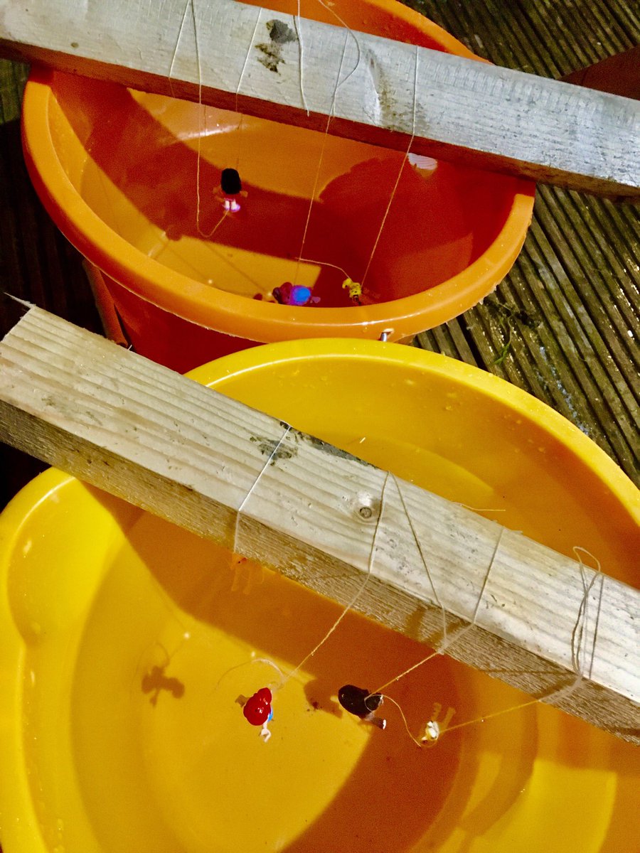 Zap Learning tweet media