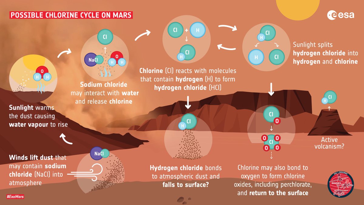 In a process similar to that on Earth, salts in the form of sodium chloride – remnants of evaporated oceans & embedded in the dusty surface of  #Mars – are lifted into the atmosphere by winds…. https://www.esa.int/ESA_Multimedia/Images/2021/02/How_hydrogen_chloride_may_be_created_on_Mars