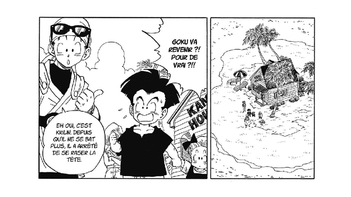 9) J'ai failli oublier quand Goh... euh Great Saiyaman nous explique que ce nain chevelu est en réalité Krillin qui a arrêté de se battre, et donc, d'entretenir sa calvasse! Ca c'est du super héros!
