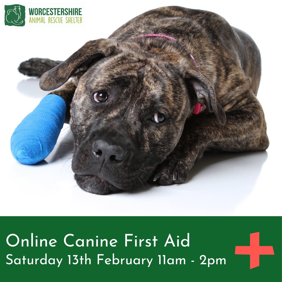 There are still a few days left to sign up to our upcoming,  online Canine First Aid course. 

For more details and how to buy a ticket, please click the link below.
 
wars.org.uk/shop.php

#WorcestershireHour #MalvernHillsHour #FirstAid #OnlineCourse #CPD