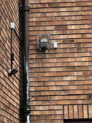 Ban Mosquito Devices 🦟🚫 tweet media