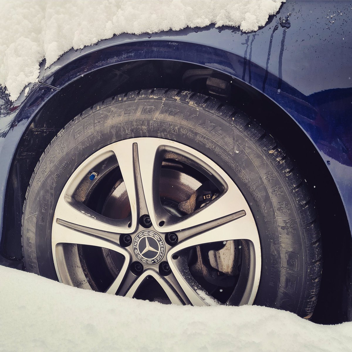 SkWynston's tweet photo. Let it snow ❄️
#wynston https://t.co/3fASNW838s