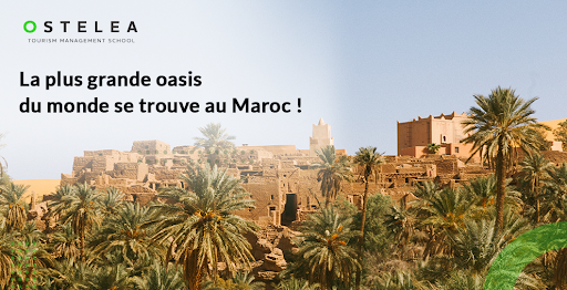 OsteleaRABAT's tweet photo. Les oasis font partie des richesses naturelles du Maroc. Avec une superficie de 77 000 km2, la région de Tafilalet, au Sud du pays, abrite la plus grande oasis au monde.

laissez-vous envahir par ce désert perdu : https://t.co/OnqPJH8u4k https://t.co/XUgmYz2ZCG
