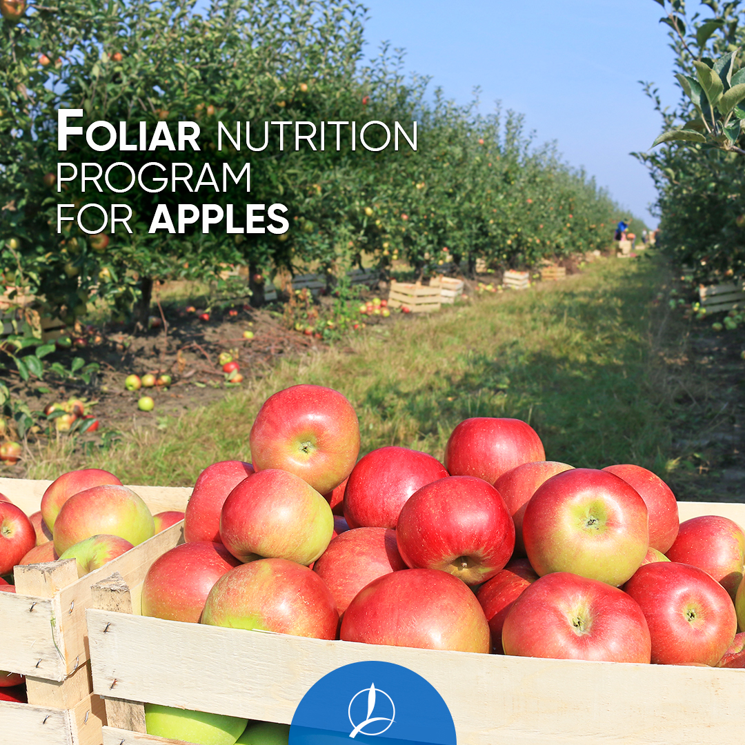 On tomorrow’s #FactsFromtheField we will discuss #apples and the nutrient needs of some specific varieties. Let’s learn how to provide those much-needed nutrients through a custom foliar program. #ThinkDifferentFarmBetter