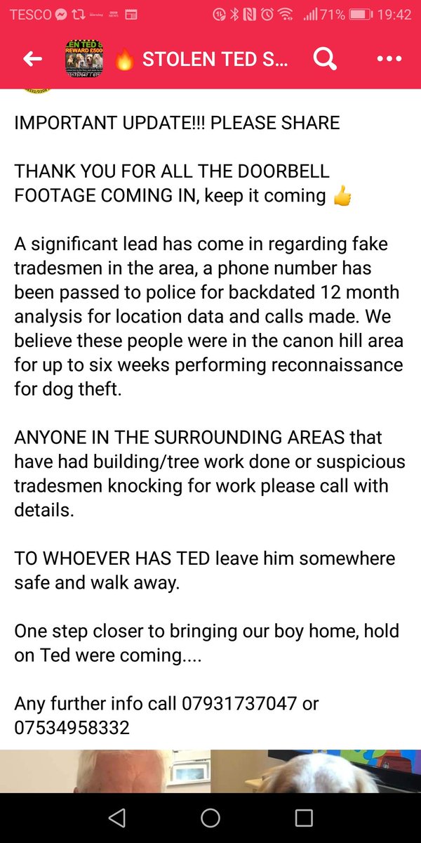 please share for Ted #stolen after a violent attack on his owner in Cannon Hill Common nr #morden #London SW2 on 15.12.20
If anyone has any info please 📞in confidence #bringtedhome #stopdogtheft
link to <a href="/itvnews/">ITV News</a> appeal facebook.com/groups/3829527…
Also new vital information 👇