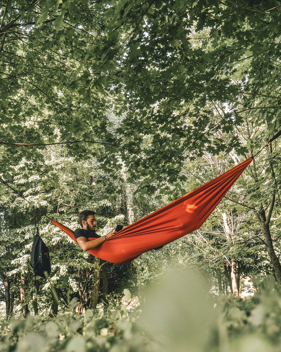 Flightnook tweet media