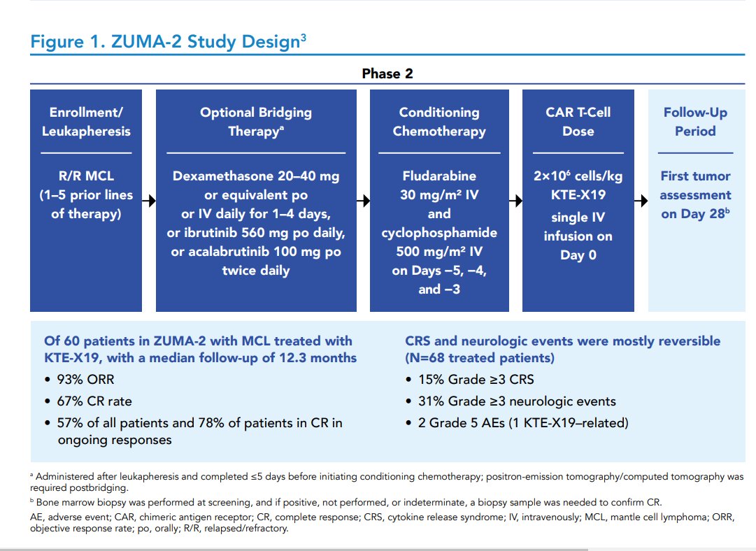 Lymphoma Hub Tctm21 Zuma 2 Phase Ii Trial Michaelwangmd Mdandersonnews Reported Data For Kte X19 Cart Cell Therapy In Patients With R R Mcl By Morphology And Prior Btki Treatment All Patient Lymphoma Hub Tctm21 Zuma 2 Phase Ii Trial Michaelwangmd Mdandersonnews Reported Data For Kte X19 Cart Cell Therapy In Patients With R R Mcl By Morphology And Prior Btki Treatment All Patient
