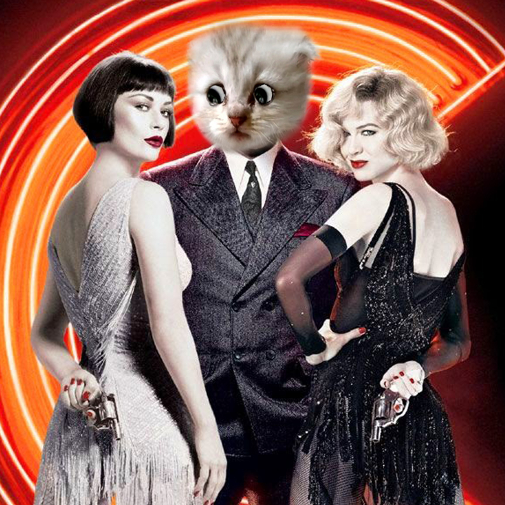 "I'm here live, I'm not a " Which stagey cat-lawyer would you want representing you? @HamiltonMusical  @LBtheMusical  @mockingbirdbway  @ChicagoMusical  @witnessplayLDN