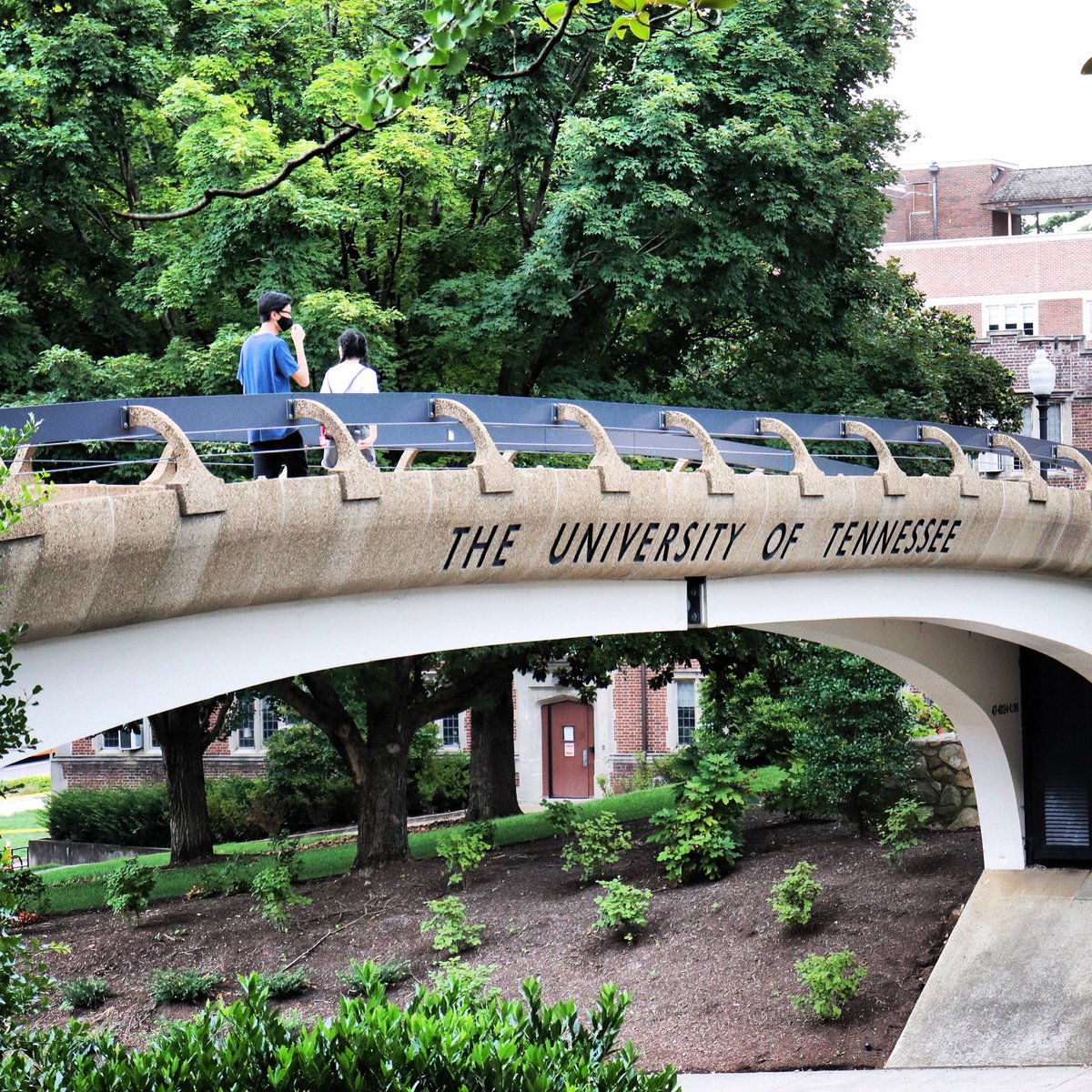 It’s a wonderful day on Rocky Top!

Happy Wednesday, Vols! 🧡
