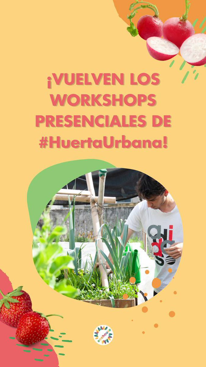 ecohouseok's tweet photo. ¡Este mes vuelven los workshops presenciales de #HuertaUrbana! 💚🌎

Encontrá más info en https://t.co/Uy1gchmSer 🌱 https://t.co/GbkEaq7zIS