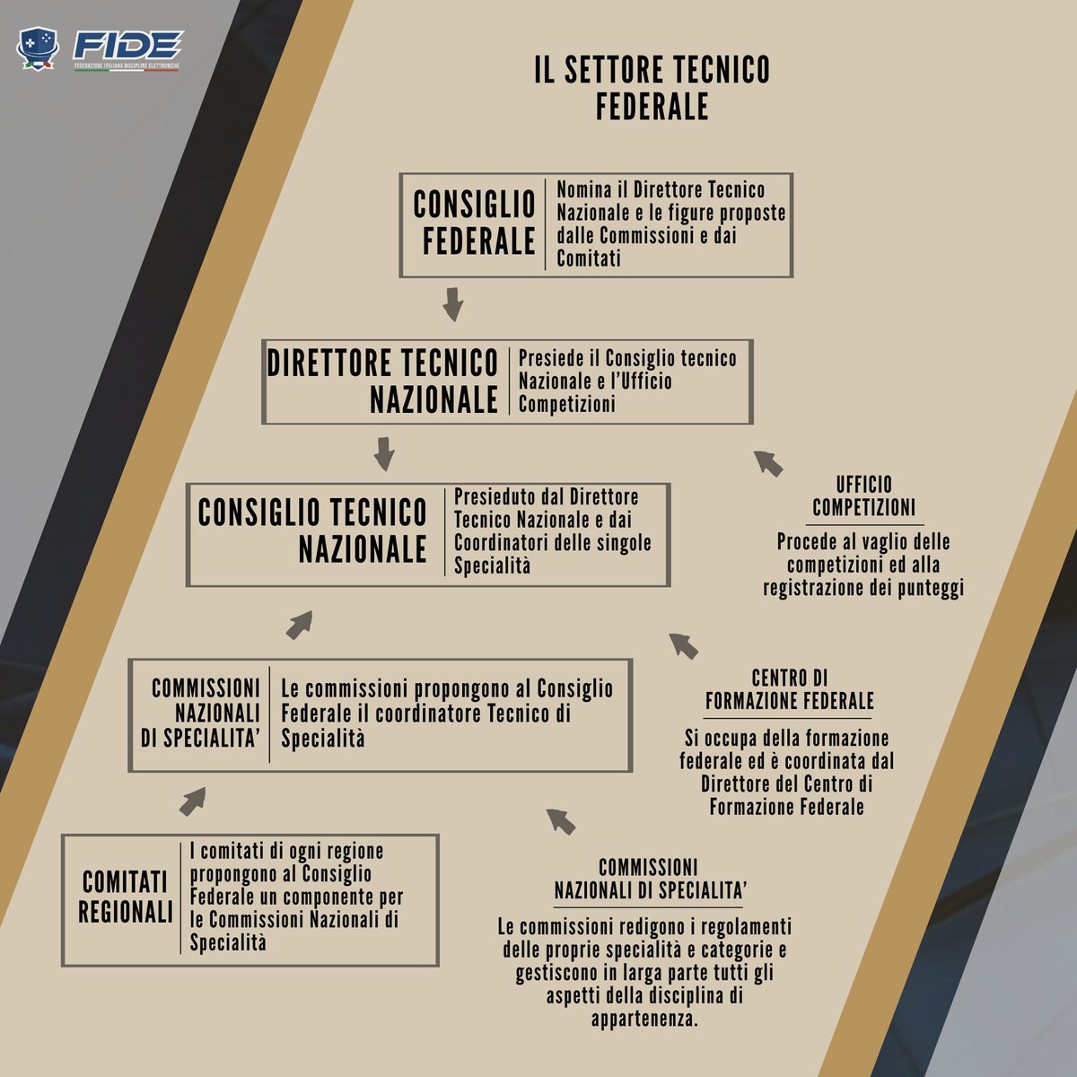 HSL Esports (@hslesports) on Twitter photo 📖 | RULES IN PILLS
Il primo punto del regolamento tecnico è focalizzato sulla struttura del Settore Tecnico Federale che ha una scala gerarchica la cui composizione è esposta in grafica.
<a href="/FederazioneE/">Federazione Italiana Discipline Elettroniche</a>
#GetWild #Fide #Esports 📖 | RULES IN PILLS
Il primo punto del regolamento tecnico è focalizzato sulla struttura del Settore Tecnico Federale che ha una scala gerarchica la cui composizione è esposta in grafica.
<a href="/FederazioneE/">Federazione Italiana Discipline Elettroniche</a>
#GetWild #Fide #Esports