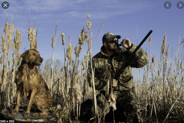 So if you want to argue that the May 1 regulation violates the rights of gun owners to their culture, you run into enormous difficulty defining what culture is actually affected by a ban on specific firearms. Not this guys, or this guys.