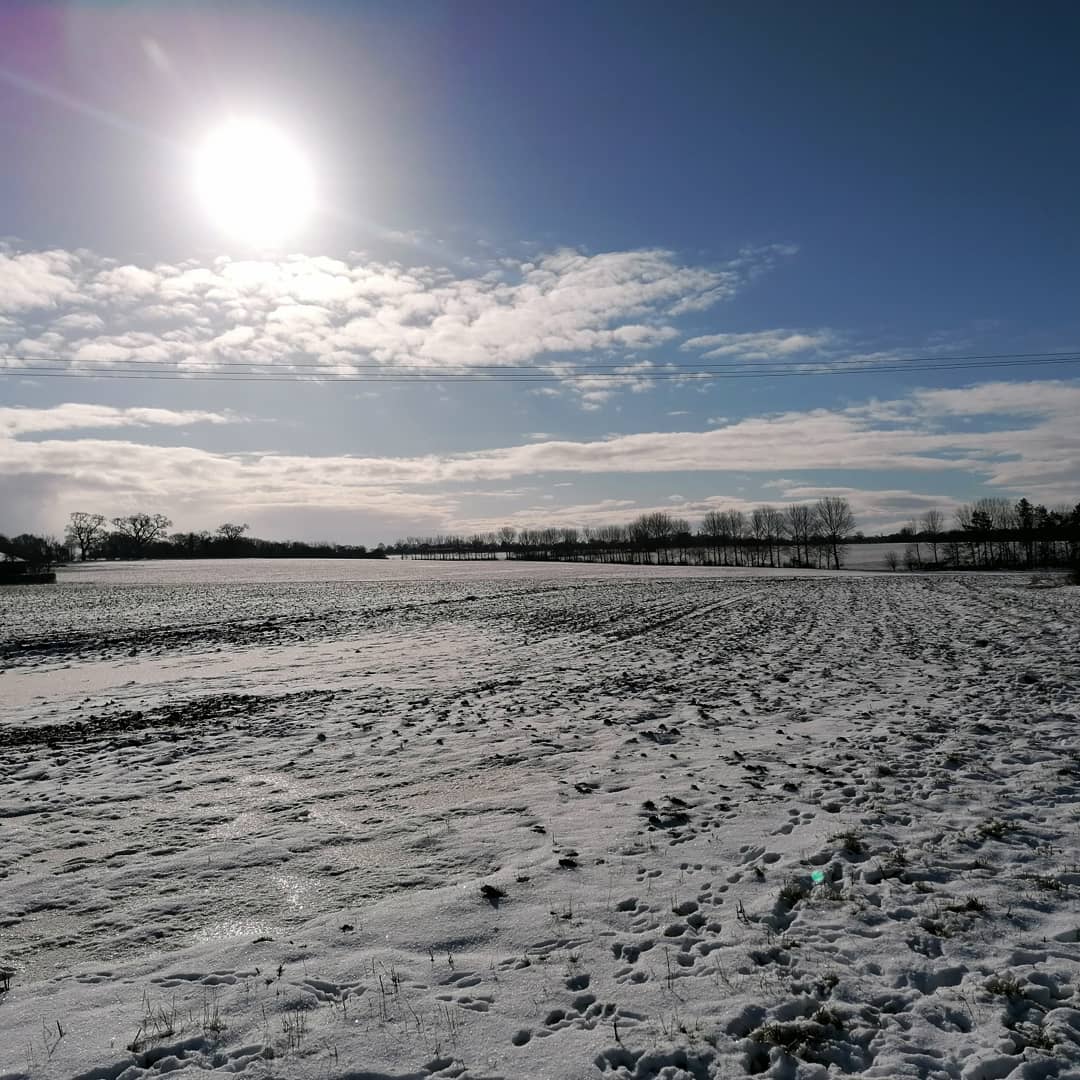 BuryLibSuffolk's tweet image. Suffolk Winter Walks and Suffolk Skies. Getting out in nature and keeping active is good for your wellbeing. #suffolkwinterwalks #suffolkskies #natureforwellbeing