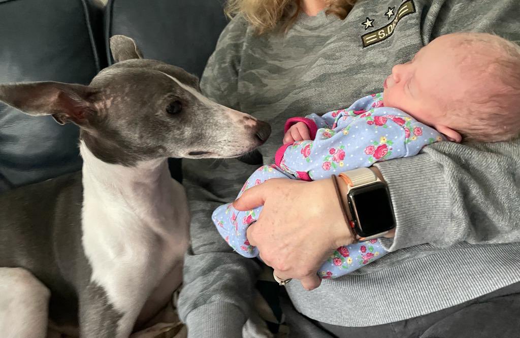 My Duncle duties have increased twofold ... my husis <a href="/jadecarpenter21/">Jade Carpenter</a> has excelled herself and given me a very diddy niece 💕