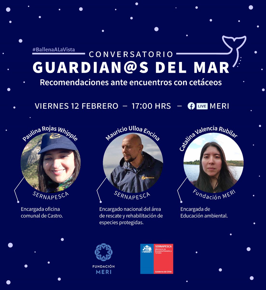sernapesca's tweet photo. Este viernes participaremos en actividad organizada por @FundacionMeri para conocer qué debemos hacer ante avistamientos de grandes cetáceos https://t.co/yxMiPPSu7g