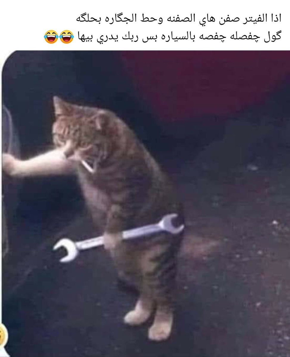 Ali96KF's tweet photo. اذا الفيتر صفن هيج  صفنه معناه 😂😂😂 https://t.co/iYPTMFysOL