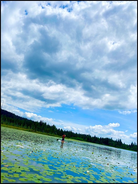 Abt_Sarina's tweet photo. @kim_abt @FvHype Yay so excited :) Here is one of my pictures of Whonnock Lake #AGFV #ABTatUFV #FVHype #ABTPod3 https://t.co/7XF75v32Hw