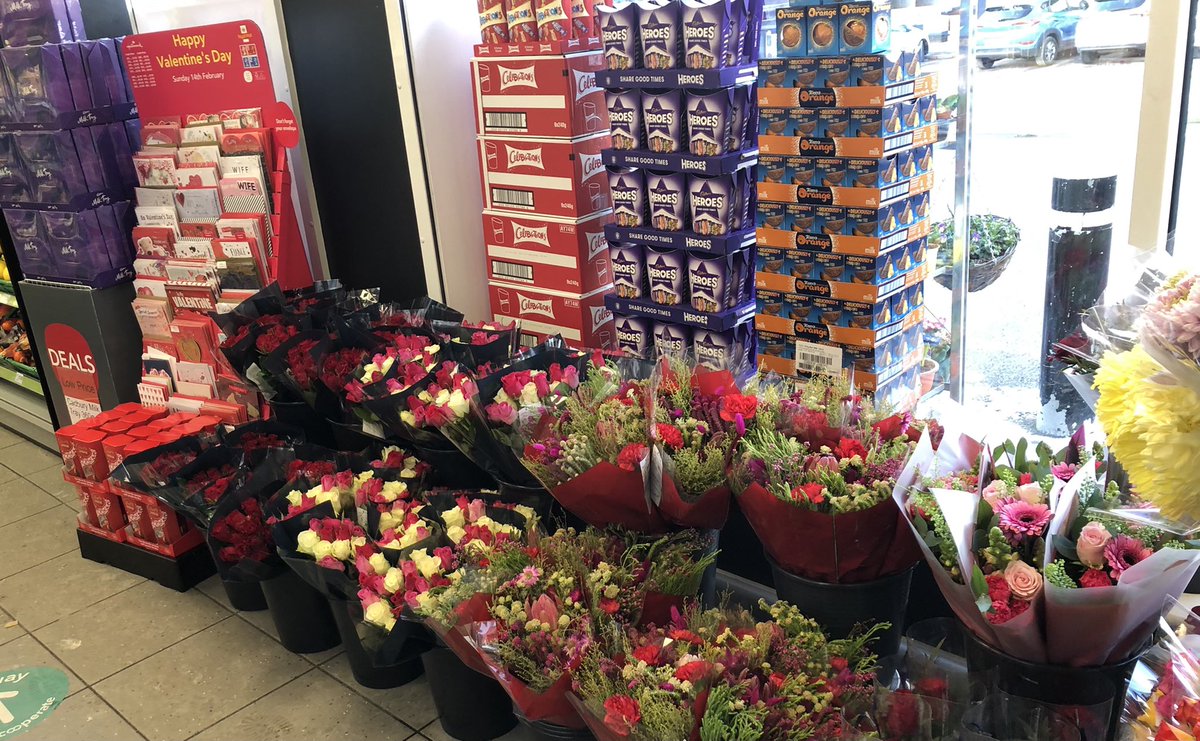 Sarah Roberts tweet media