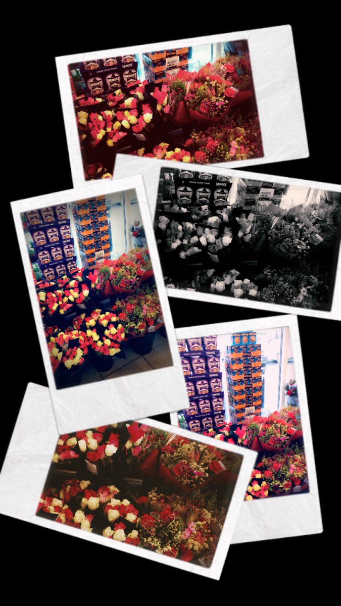 Sarah Roberts tweet media