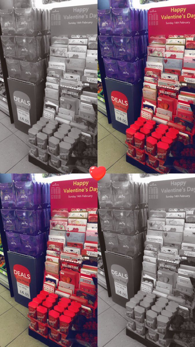 Sarah Roberts tweet media